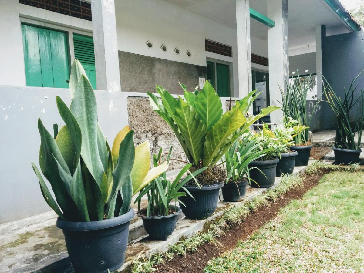 Hotel Gunung Slamet 普禾加多 外观 照片